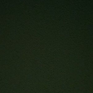 Meet your Posher, Callie